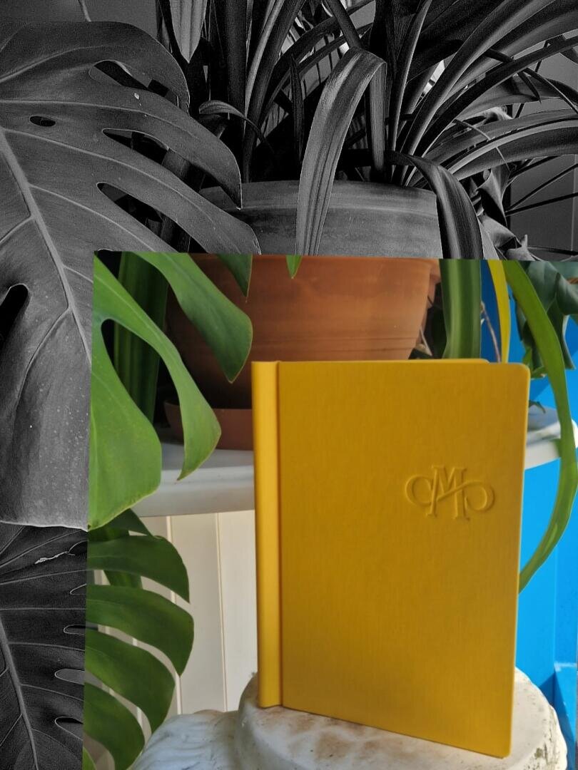 Ein leuchtend gelbes Notizbuch steht aufrecht auf einer weißen Fläche, teilweise umgeben von grünen Blättern und einem braunen Blumentopf. Der Hintergrund ist schwarz-weiß und betont den Kontrast zum bunten Vordergrund.