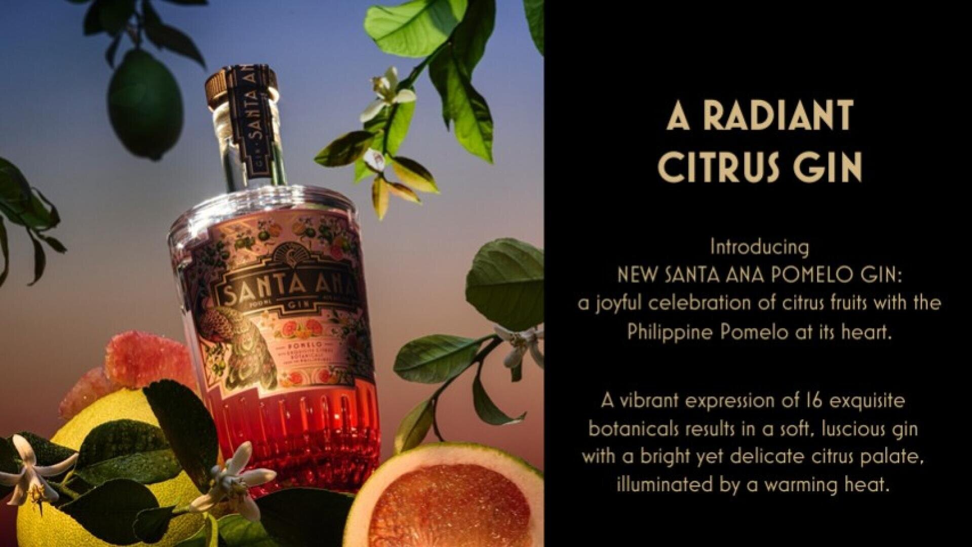 Une bouteille de Santa Ana Pomelo Gin est entourée de tranches et de feuilles de pomelo sur un fond sombre et lumineux. Le texte décrit le gin comme un spiritueux d'agrumes lumineux à base de pomelo philippin.