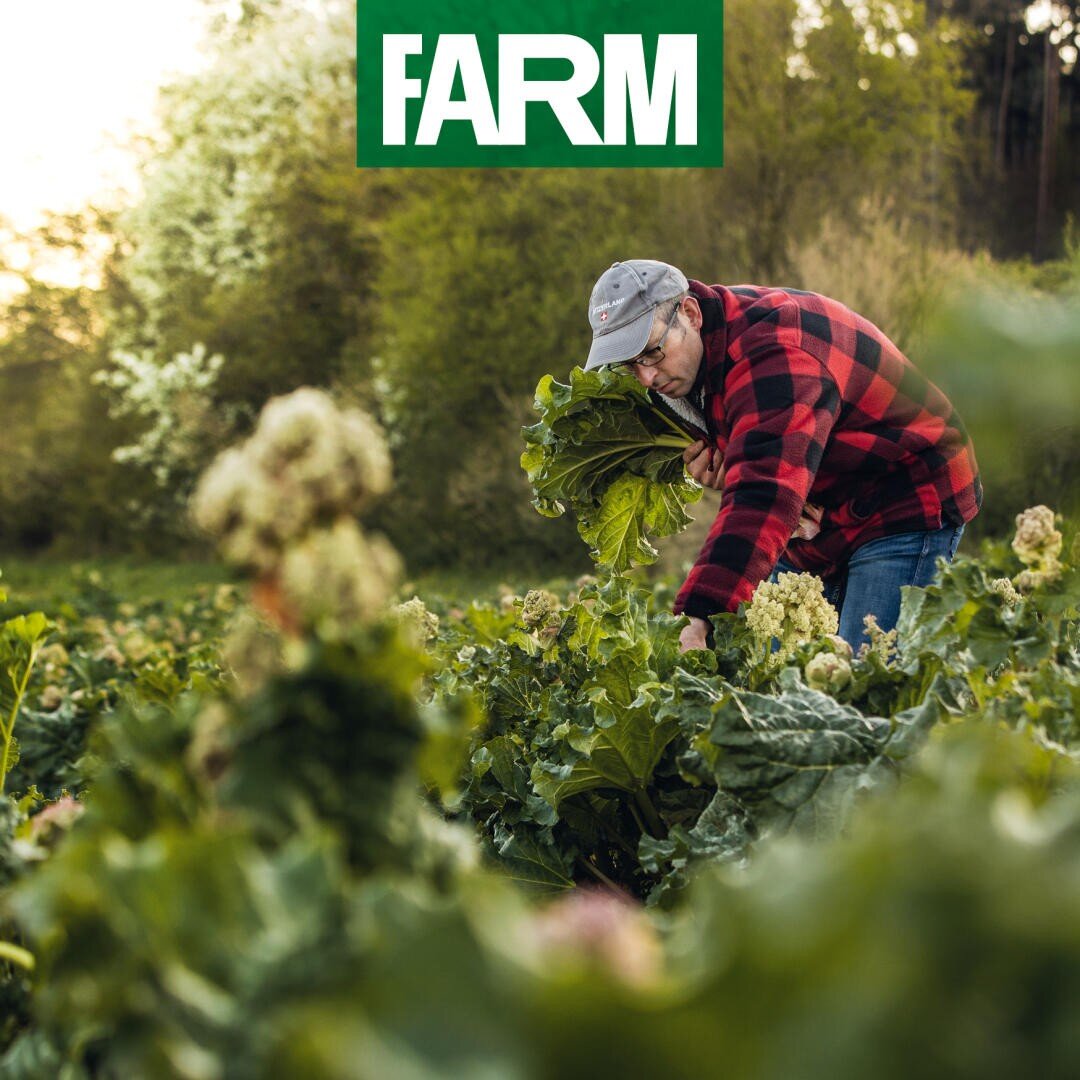 Une personne vêtue d'une chemise à carreaux rouges et d'une casquette récolte des feuilles vertes dans un jardin luxuriant. Le mot "FARM" est affiché en haut au centre de l'image. Des arbres et des arbustes sont visibles à l'arrière-plan.