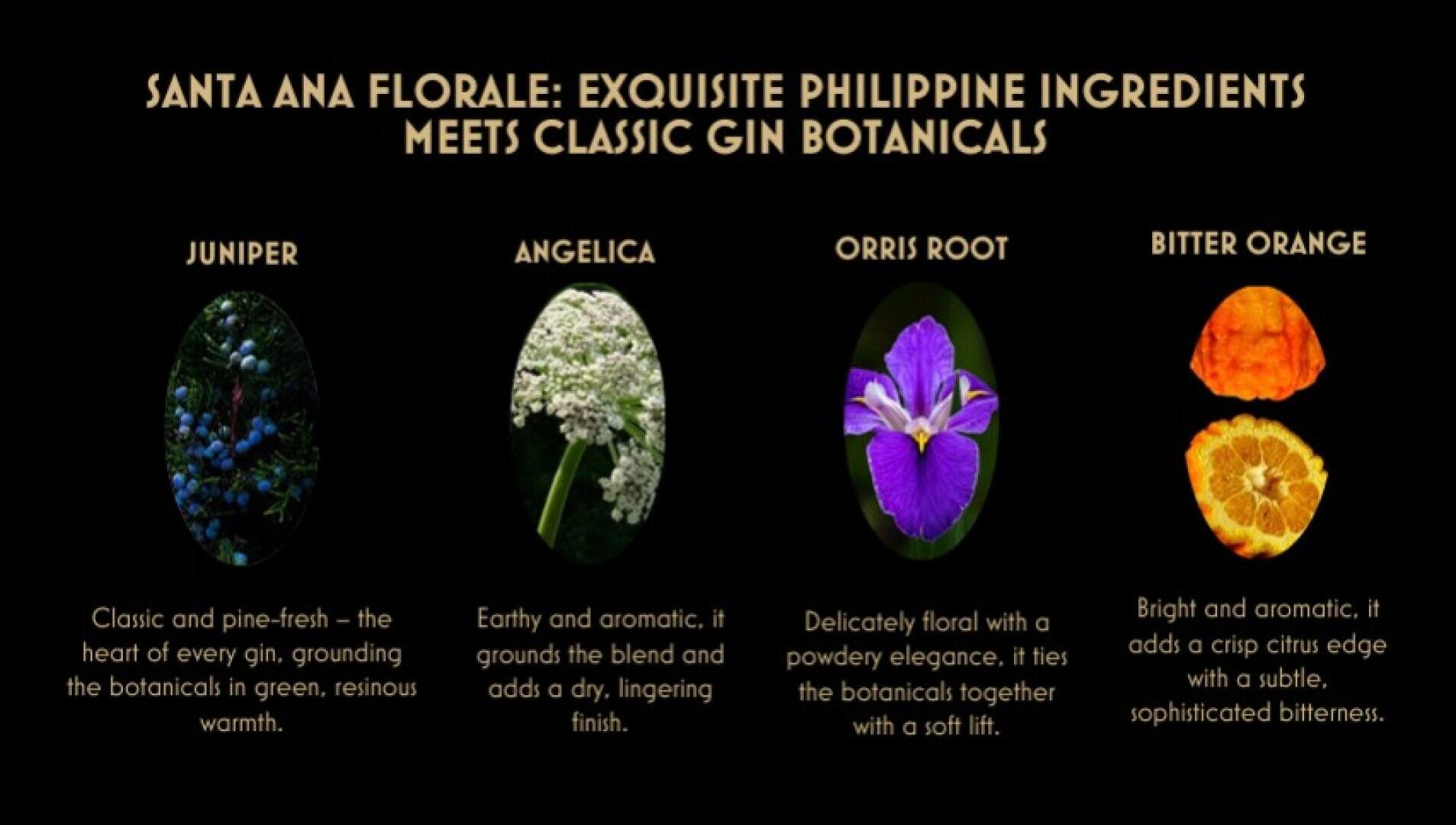 Sur un fond noir, on peut voir des images et des descriptions de quatre botaniques de gin : Baies de genièvre, racine d'angélique, fleurs d'iris et oranges amères coupées, chacune accompagnée de brèves instructions de dégustation en lettres dorées.