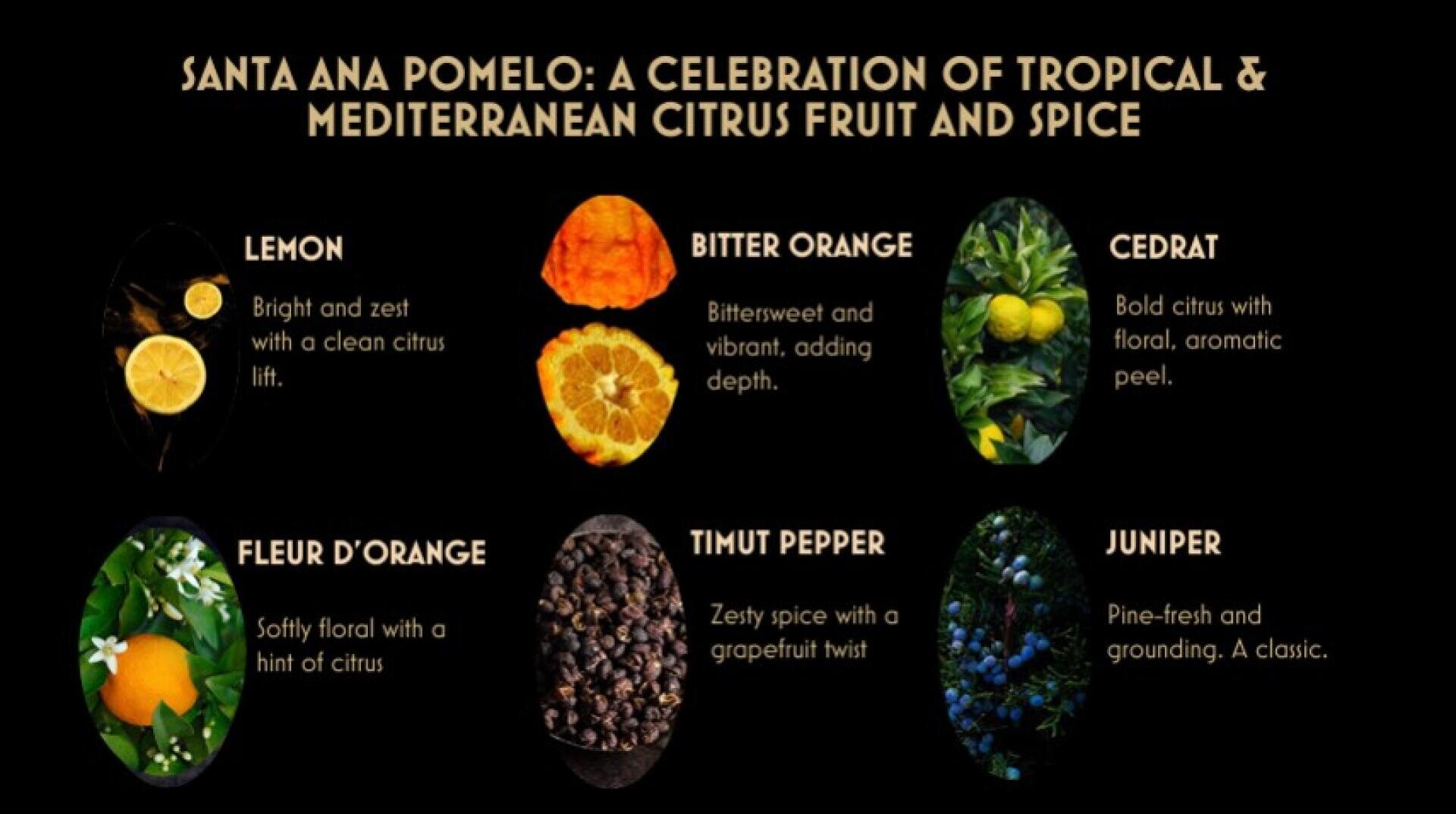 Infographie présentant six ingrédients à base d'agrumes et d'épices : citron, orange amère, cédrat, fleur doranger, poivre de Timut et genièvre, chacun avec une photo et une description de son profil gustatif sur fond noir.