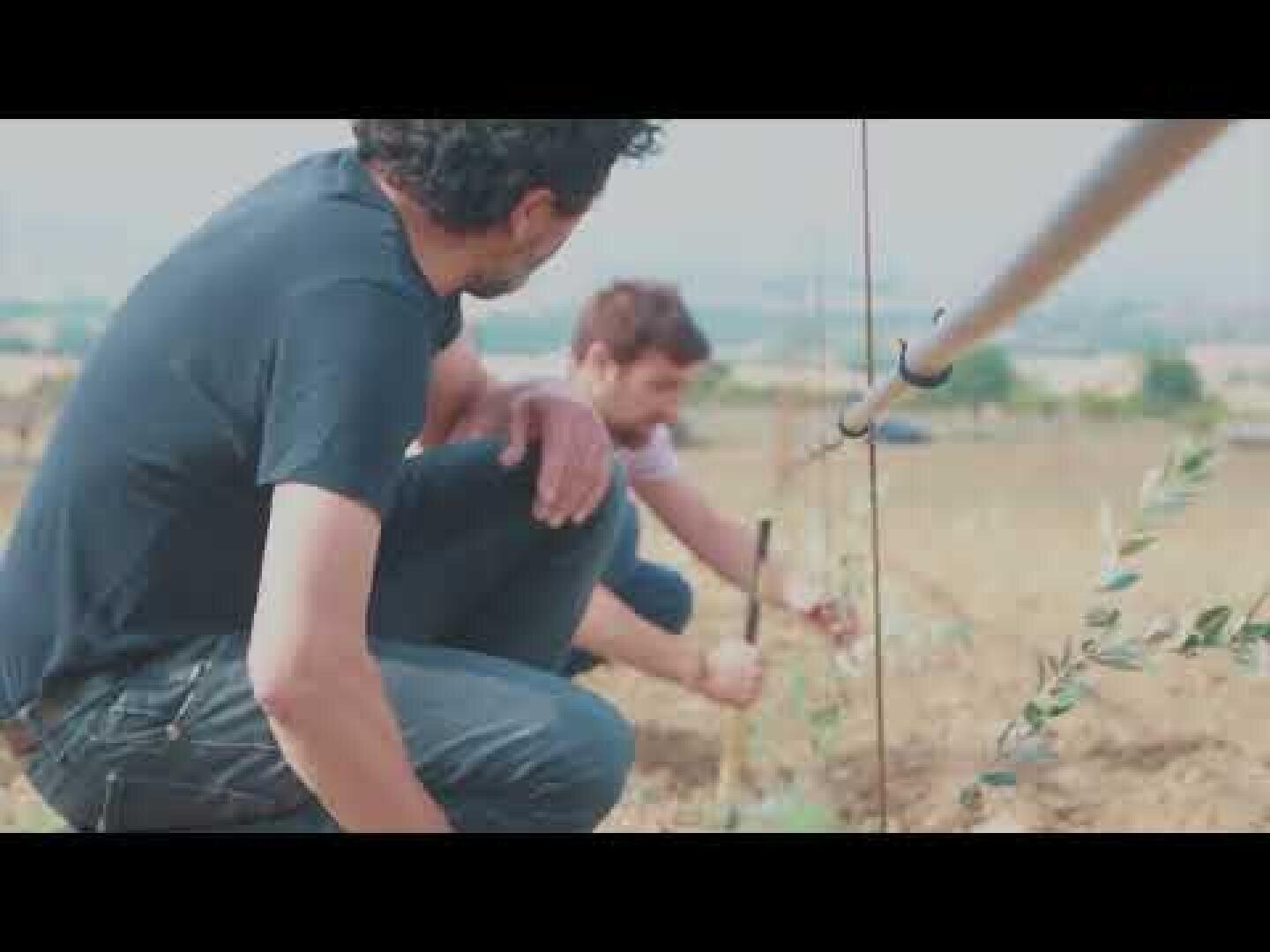 Deux hommes sont accroupis dans un champ sec et ouvert, plantant ou soignant une jeune plante à côté d'un tuyau ou d'un système d'irrigation. L'arrière-plan est flou et suggère un paysage rural.