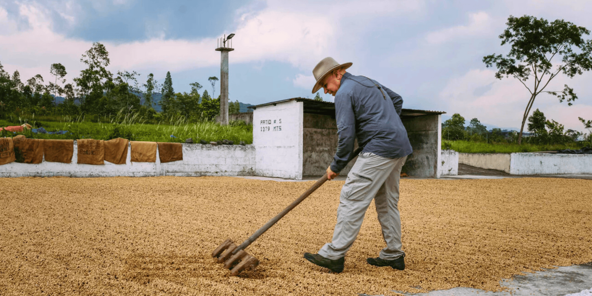 Eine Person, die einen Hut und lange Ärmel trägt, harkt eine große Fläche mit getrockneten Kaffeebohnen im Freien, mit einem ländlichen Gebäude und Bäumen im Hintergrund unter einem teilweise bewölkten Himmel.