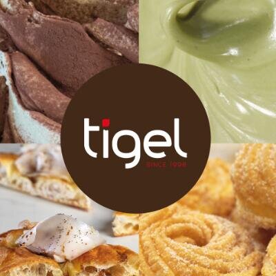 Logo Ti-gel Sagl