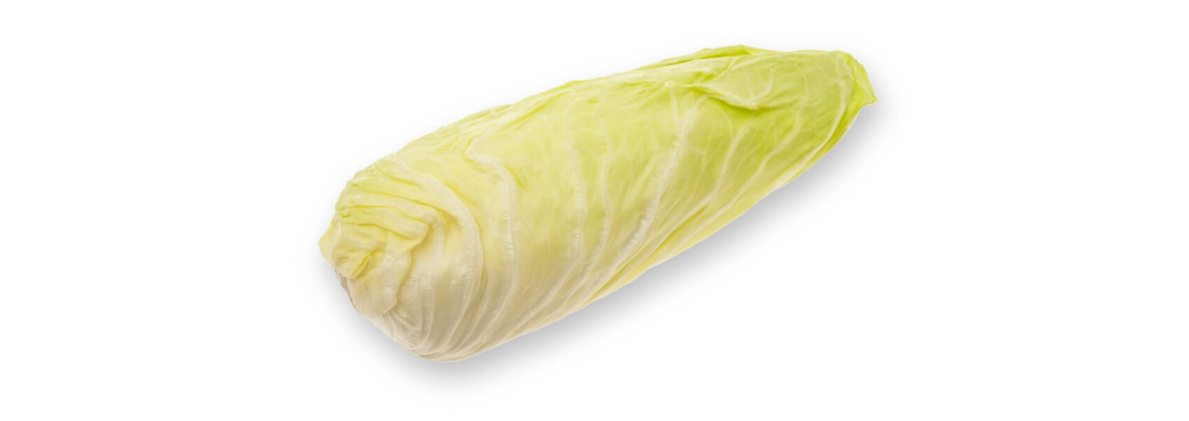 Un seul chou pointu entier avec des feuilles vert pâle, isolé sur un fond blanc.
