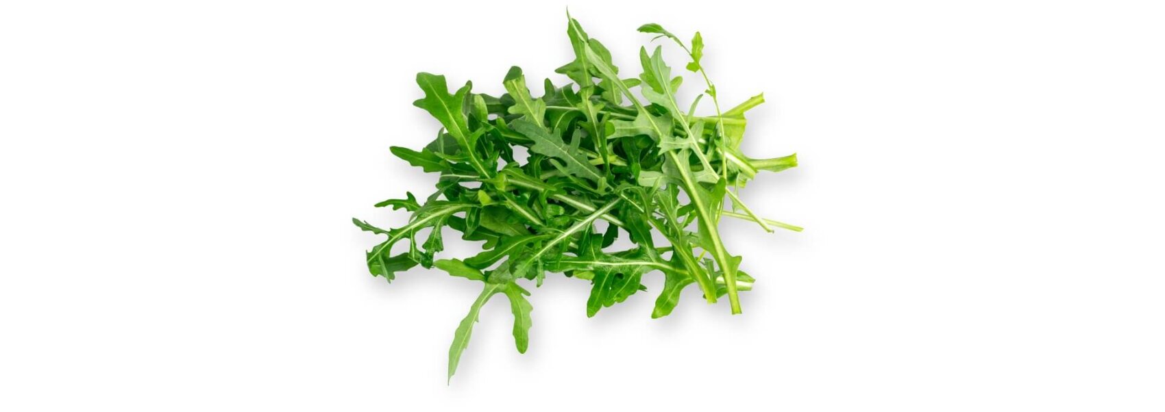 Un petit tas de feuilles de roquette fraîches aux bords dentelés sur un fond blanc.