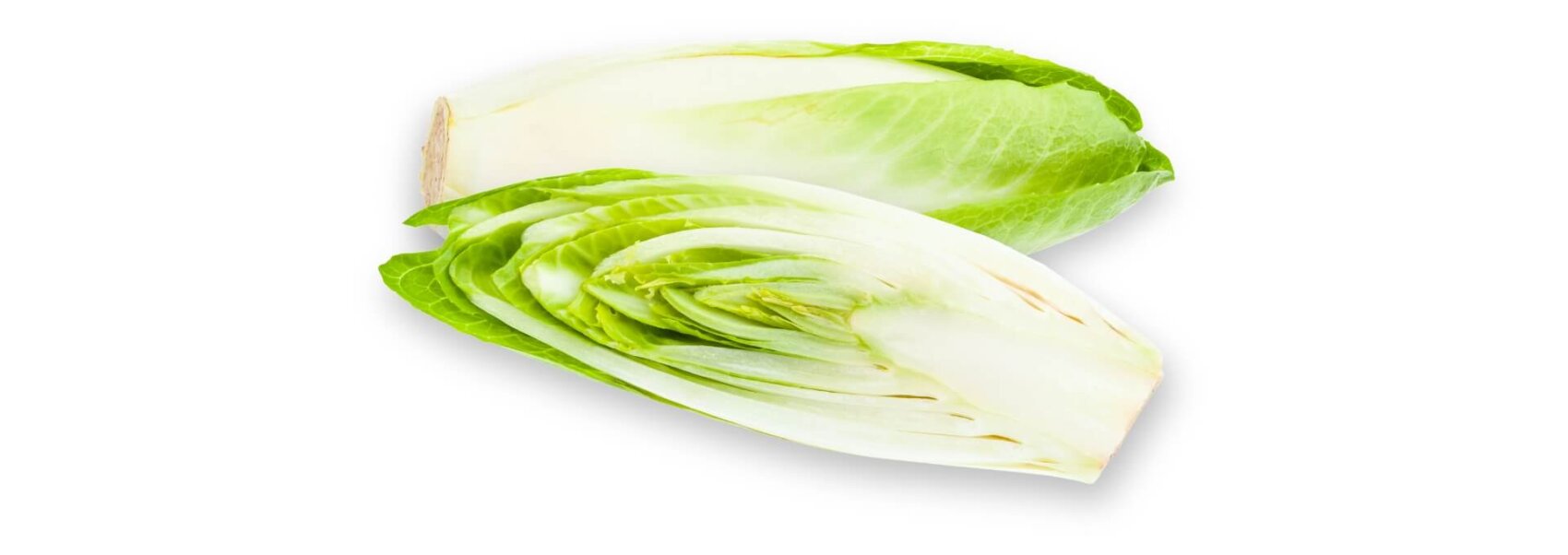 Une endive belge entière, coupée en deux dans le sens de la longueur, avec ses feuilles vert pâle et blanches, isolées sur un fond blanc.